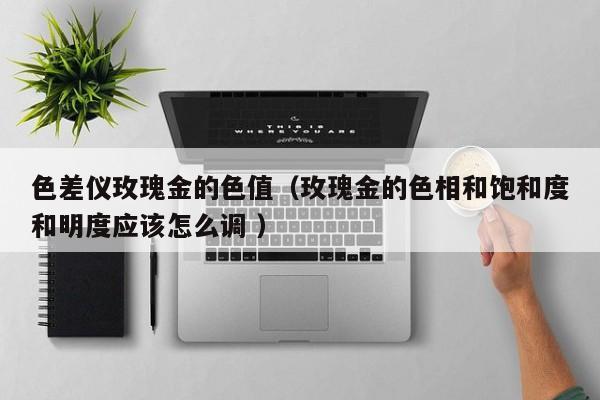 色差儀玫瑰金的色值（玫瑰金的色相和飽和度和明度應該怎么調 ）